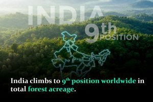 India Rises to 9th in Global Forest Area: A Proud Milestone in Green Growth