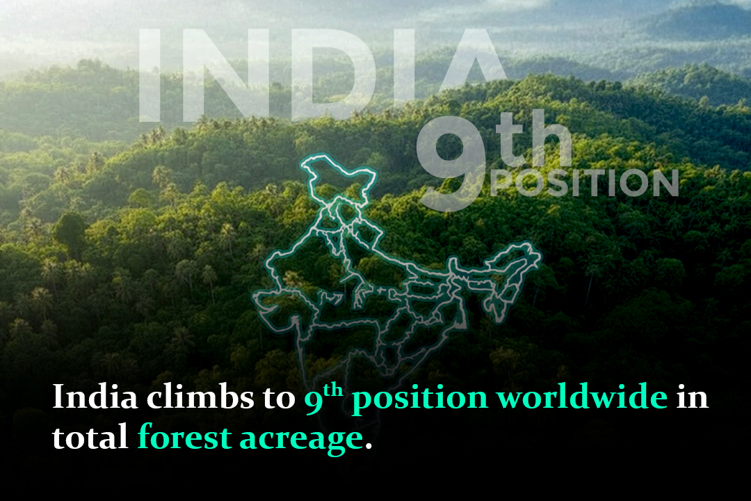 India Rises to 9th in Global Forest Area: A Proud Milestone in Green Growth