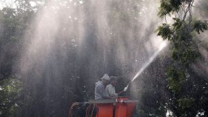 The Water-Sprinkler Mirage: India’s Illusion of Clean Air