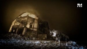 Wim van den Heever was crowned Wildlife Photographer of The Year 2025