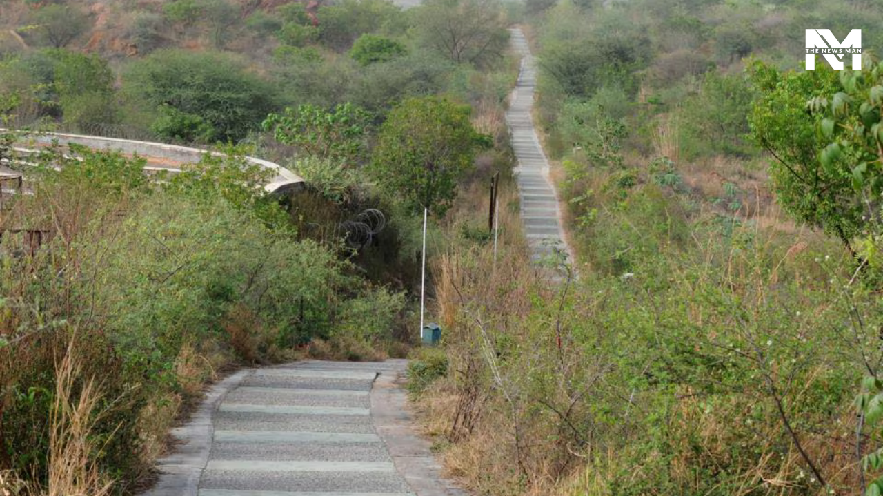 The Aravalli Biodiversity Park is a must-visit destination if you are a nature lover. Spanning over 692 acres of verdant greenery, it harbors 190 avian species, 20 species of trees, and 1000 species of plants.