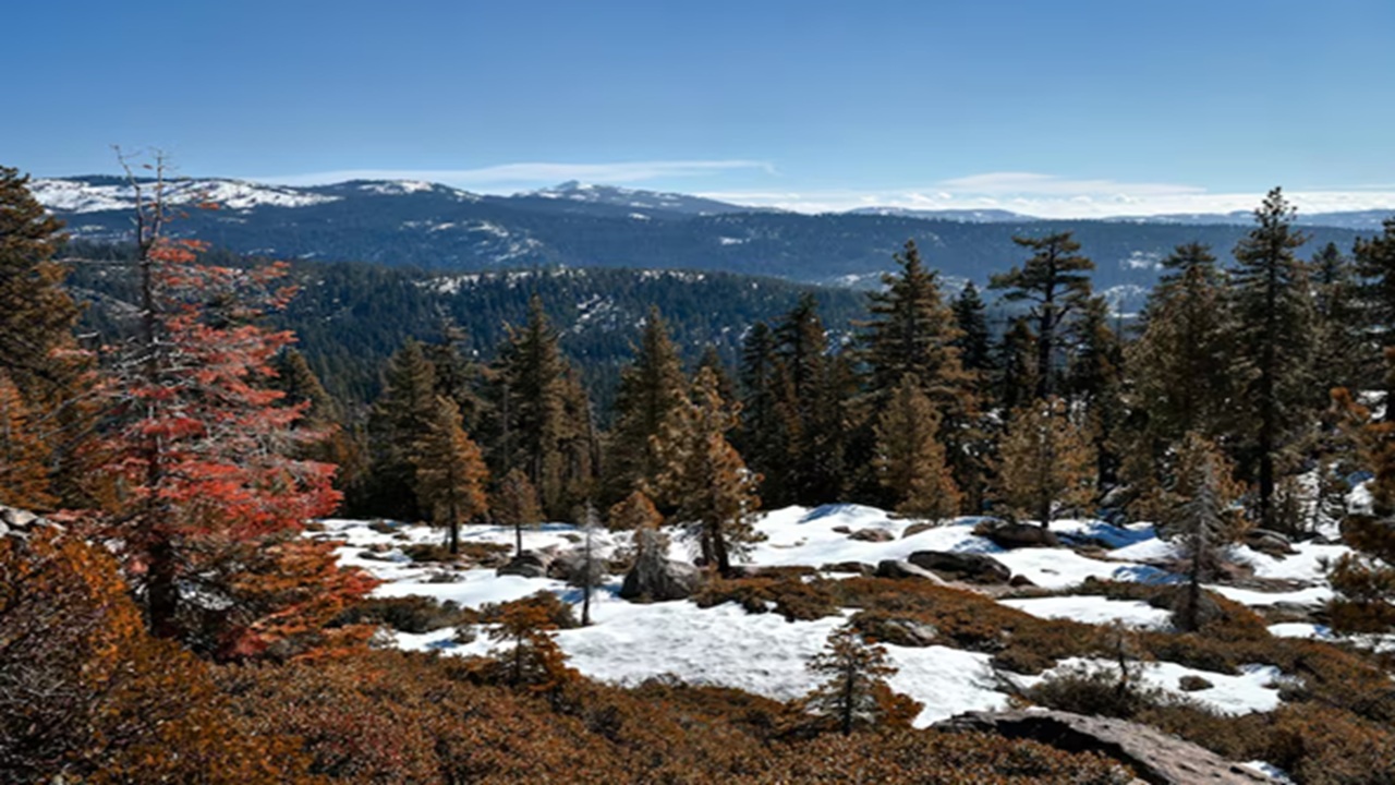 For your honeymoon, you can visit Aspen in Colorado. It is the ski season here, and you can experience beautiful weather. There are also cozy resorts where you can stay and also have budget-friendly options. There will be many resort options you can explore and enjoy a staycation.