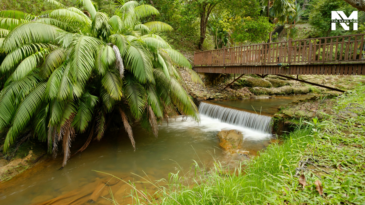 Tezpur is situated along the banks of the Brahmaputra River. Due to its lush green landscape, heritage, and mythology, the city captivates tourists worldwide, especially in the monsoon. Agnigarh Hill, Mahabhairab Temple, and Padum Pukhuri Lake are the top 3 places to experience the serene atmosphere.
