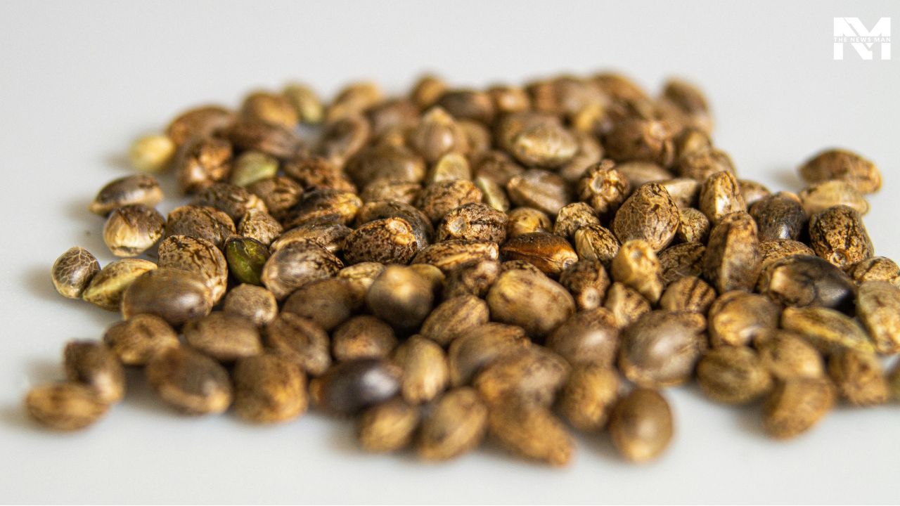 Hemp seeds are underrated heroes that possess a soft and nutty texture and are rich in omega-3 fatty acids. They are also a great source of zinc, magnesium, iron, and protein.