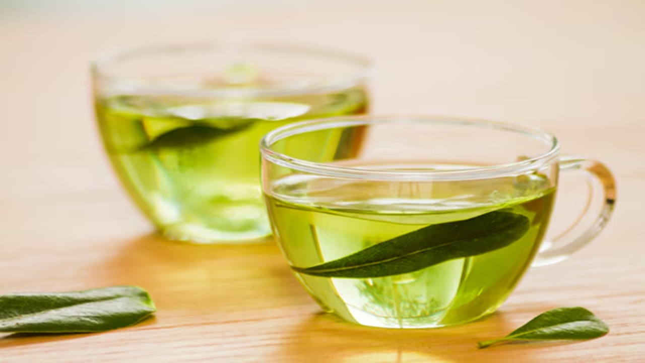 Green Tea is Herbal or not: What are the Differences, Properties and Benefits?