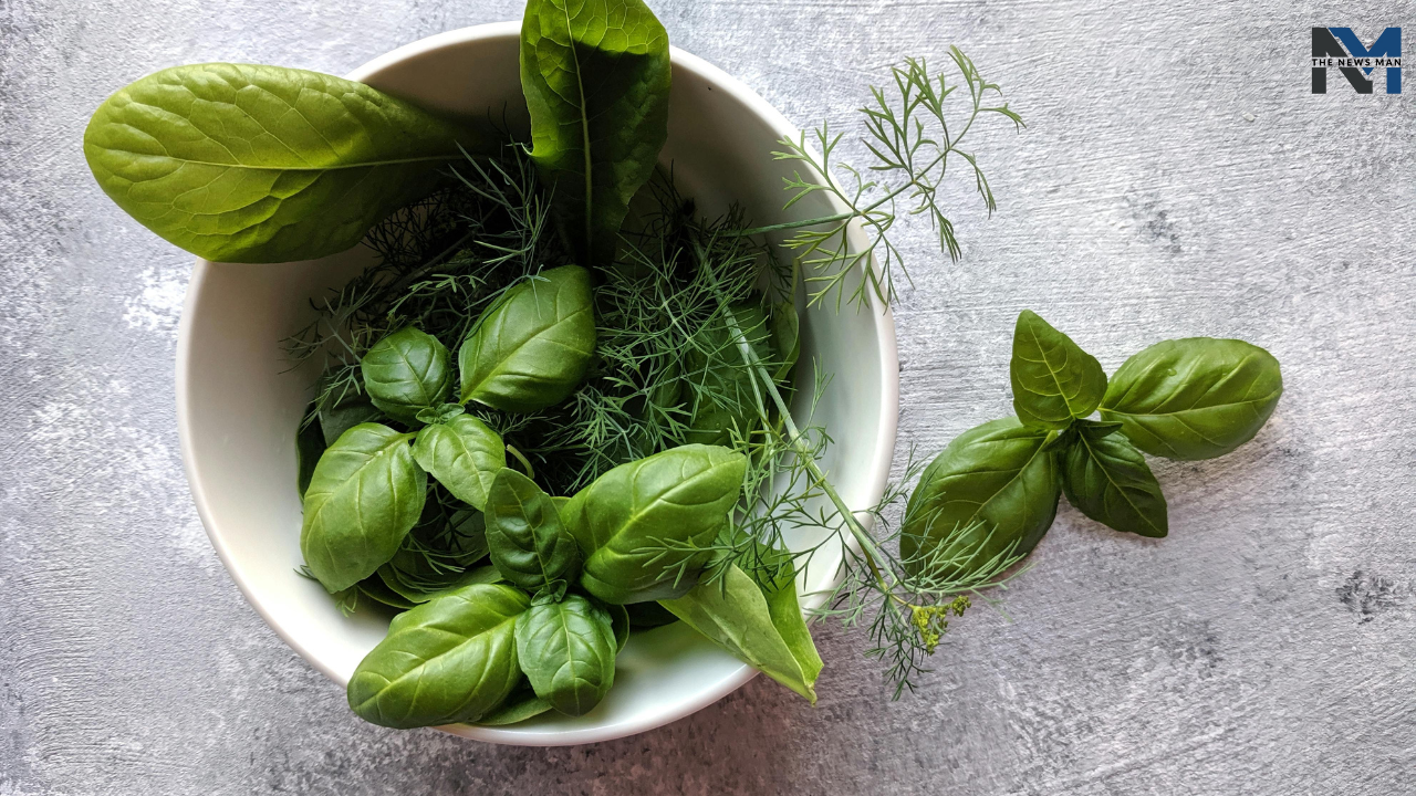 5 Ways to Take Care of Holy Basil