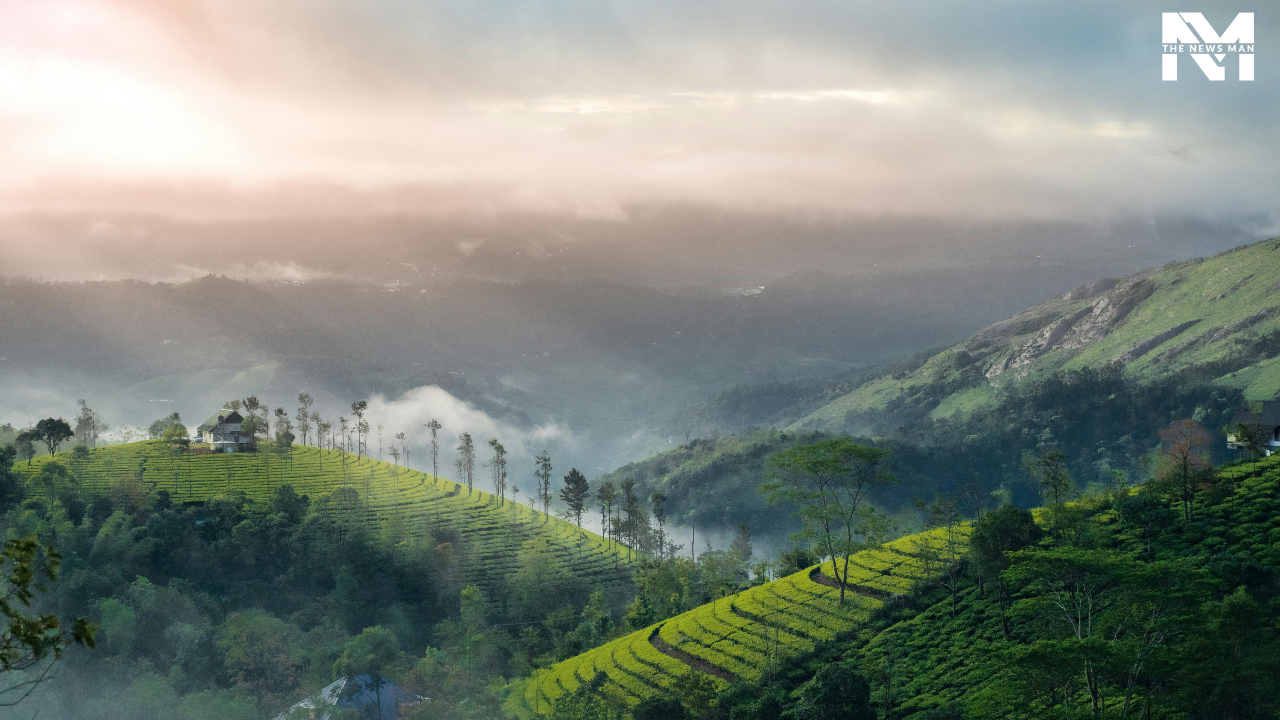 Cradled in the Western Ghats, Vagamon is much cooler and quieter than other popular destinations in Kerala. Be it tea plantations, misty hills, or charming meadows, the underrated place has everything for you to kiss away your worries and stress during the scorching heat. You can hike up Thangalpara, paraglide over the valleys, or just sip tea with a view because Vagamon is all about soaking in the moment.