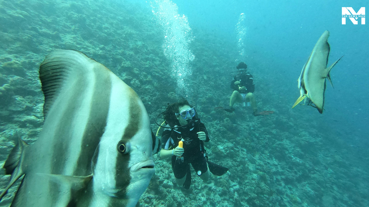 Snorkelling: If you are a water baby, snorkeling is a must-do activity. You can see an incredible variety of great flora and fauna underwater. From fish, octopuses, corals, reefs, and turtles to other aquatic creatures and plants, you witness extraordinary sea life.
