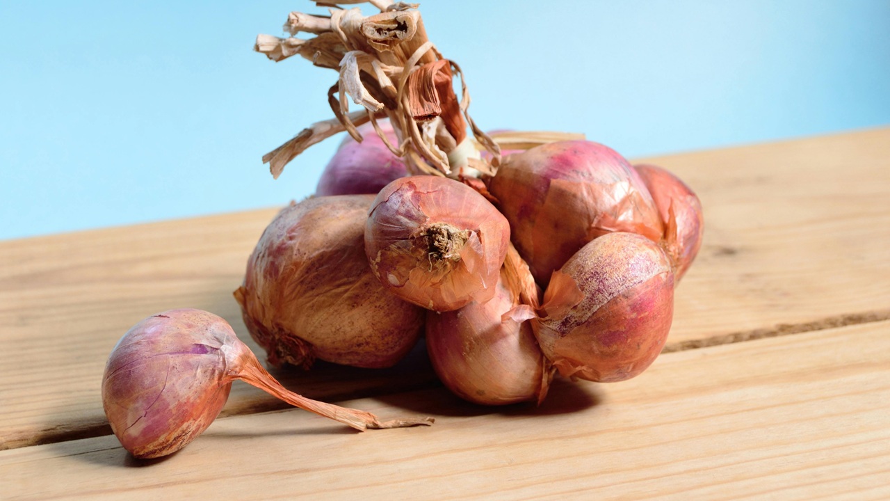 Health Tips: What is the Black Fungus on Onions and Why We Must Avoid Eating Them?