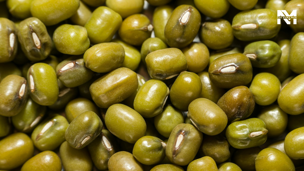 5 Healthy Dishes to Make from Protein-rich Moong Dal