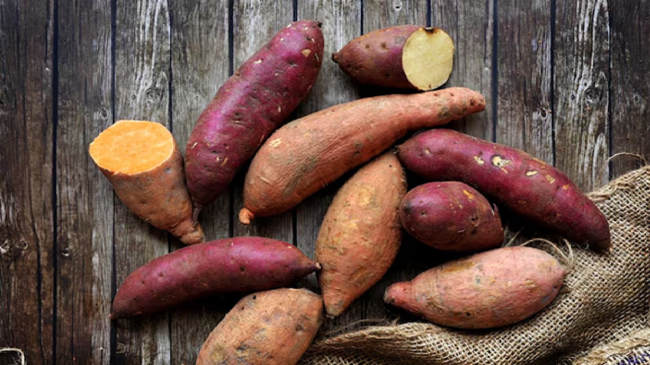 Balance Diet: Is Sweet Potato Good Diabetic Patient? Balance Diet: Is Sweet Potato Good Diabetic Patient?