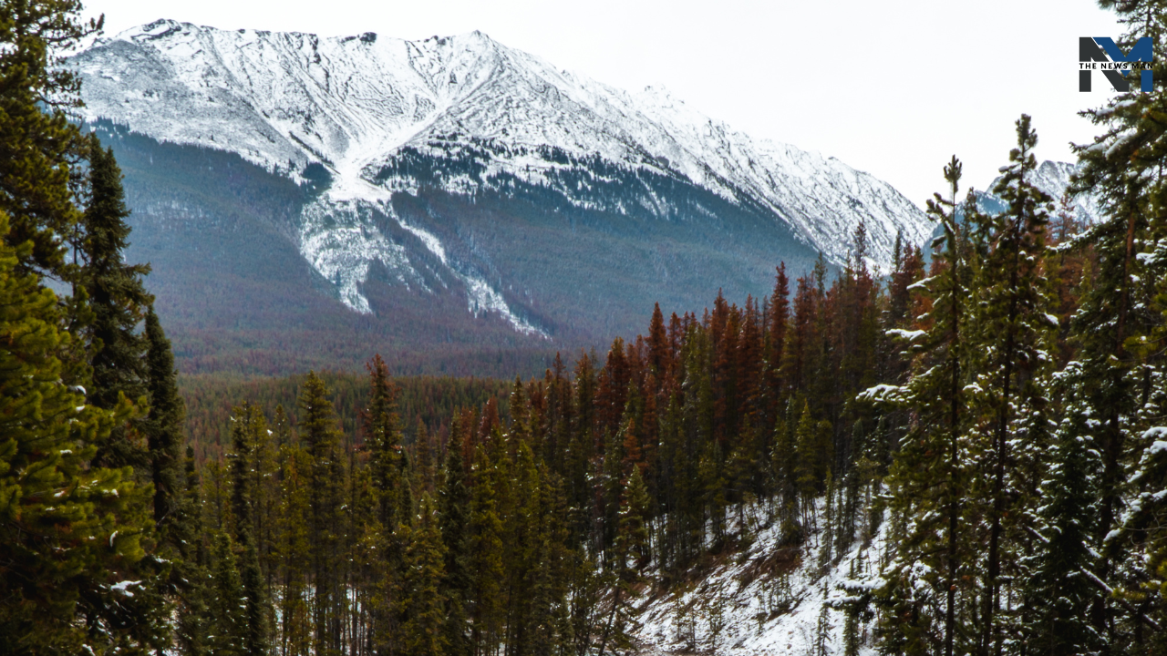 7 Countries in the World with the Best Air Quality