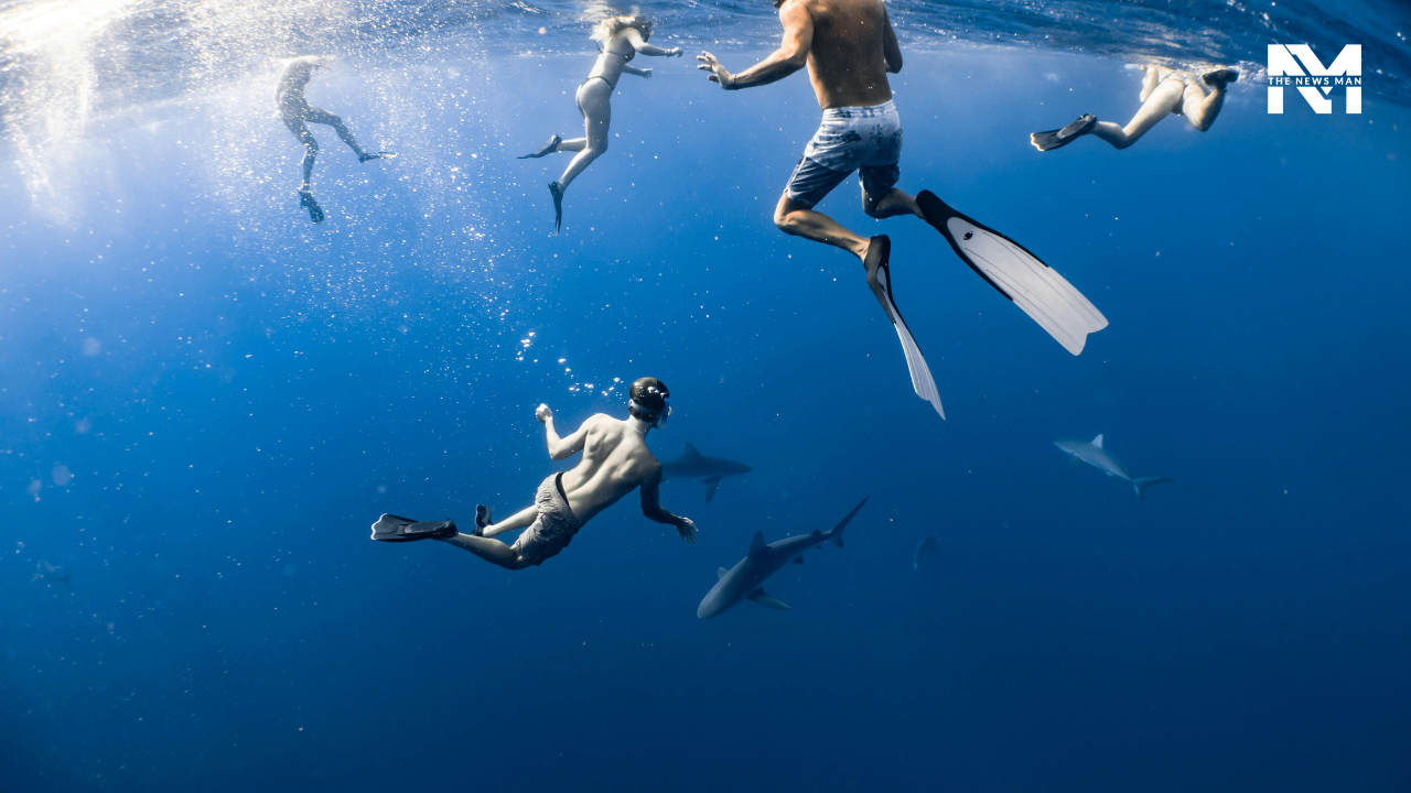 Honduras, a small country situated in Central America, is known internationally by scuba divers. Utila and the Bay Islands are the hot spots, as one can see an array of marine species, including moray eels, butterflyfish, stingrays, sharks, etc.