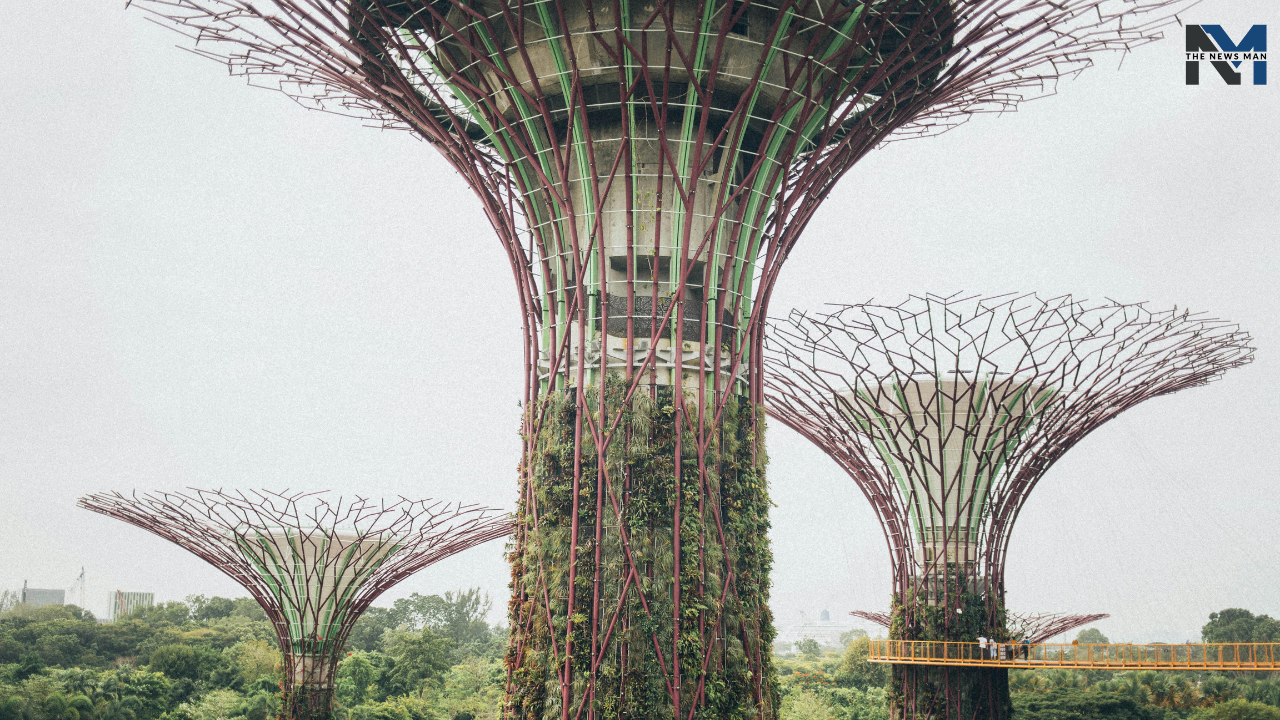 Garden by the Bay is the world's largest glass greenhouse with over 1.5 million plants. Here, you can witness jaw-dropping light shows, stunning natural landscapes, and innovative designs.