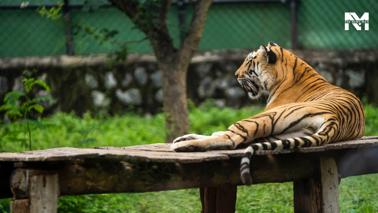 With over 500 rare species, Arignar Anna Zoological Park is a phenomenal wildlife sanctuary. Situated in the south-western part of the Chennai Metropolitan Area, the zoo is best known for its diverse indigenous flora, butterfly house, and the Lion and the Elephant Safari.