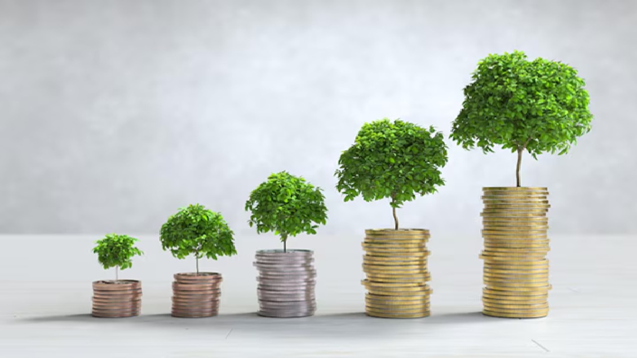 How to Grow Wealth? Essential Tips for Achieving Financial Freedom