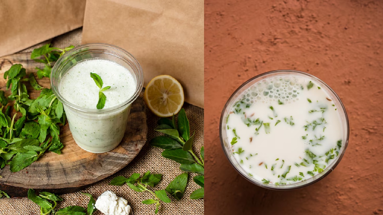 There are many benefits of buttermilk. It is good for digestion. Keeps you hydrated. Boost immunity and it's good for the bones.