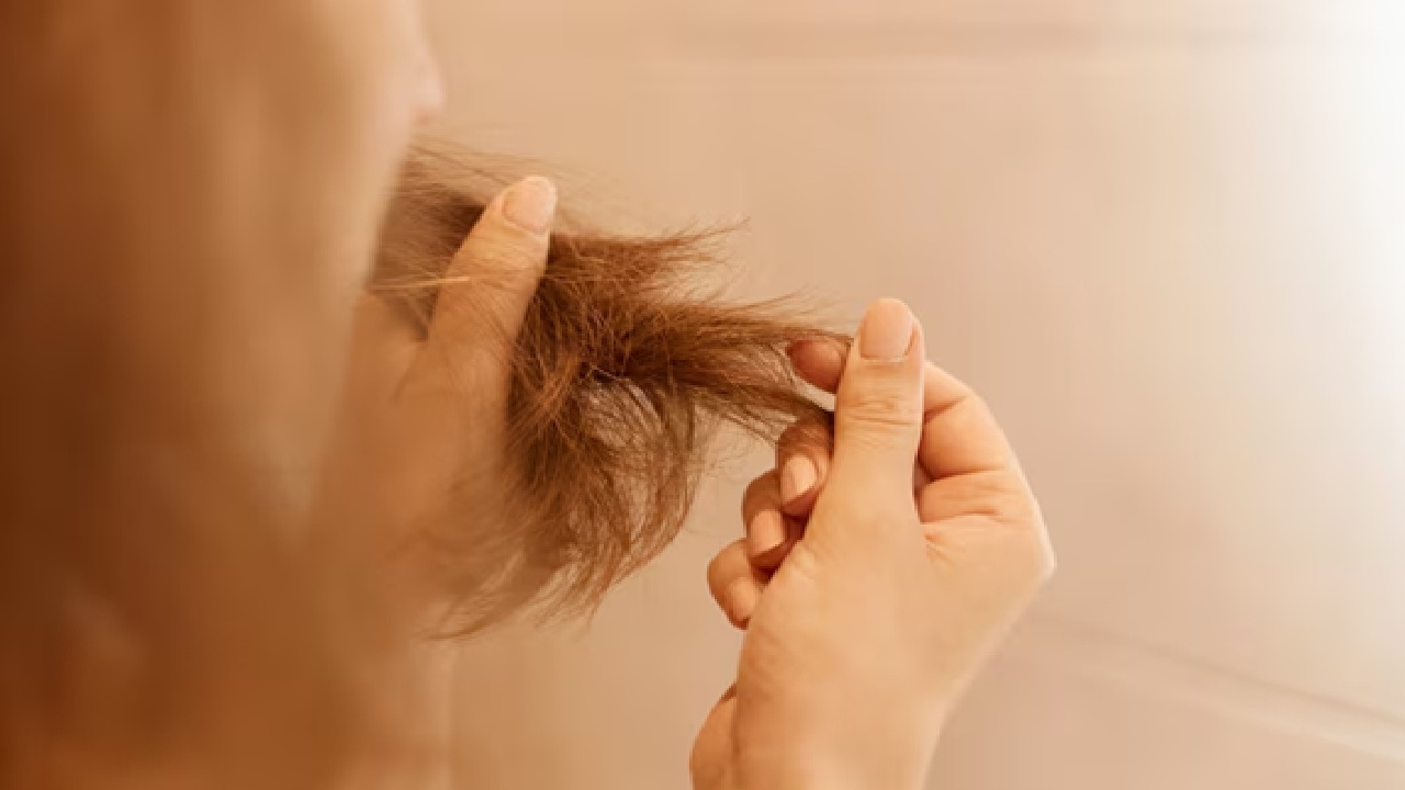 Avoid tight hairstyles: It is quite understandable that on some occasions, like a special event, wedding or a function, it is the choice of many girls who carry tight hairstyles or special designer hair accessories, but keeping them for long hours can have hairfall problems, so make it a simple and loose hairfstyle.