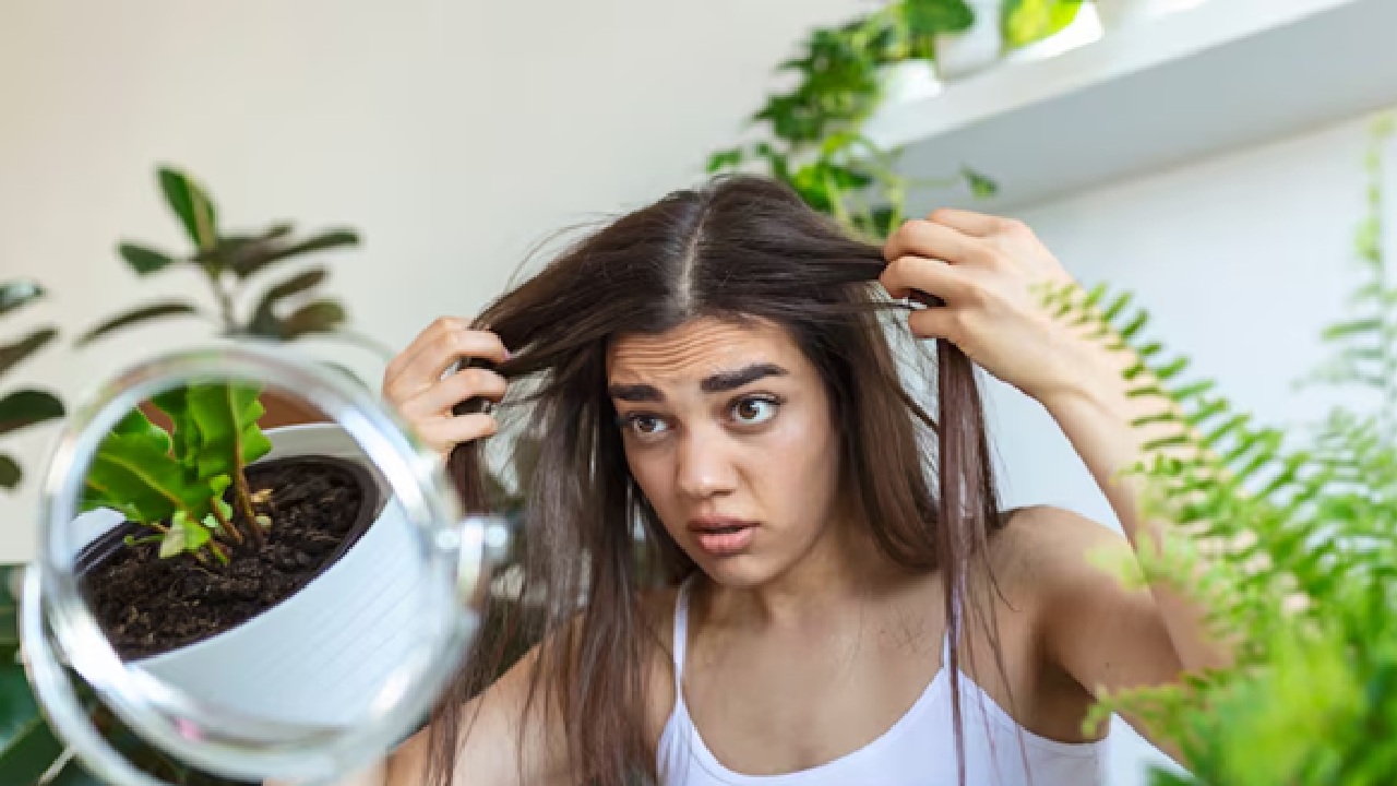 Stress Management: Telogen effluvium, or hair loss, may result from chronic stress interfering with the hair growth cycle. Reduce stress hormones like cortisol by including stress-management strategies into your everyday regimen, such as yoga, deep breathing exercises, or meditation. (Disclaimer: Given the input is on an information basis, please seek professional advice.)