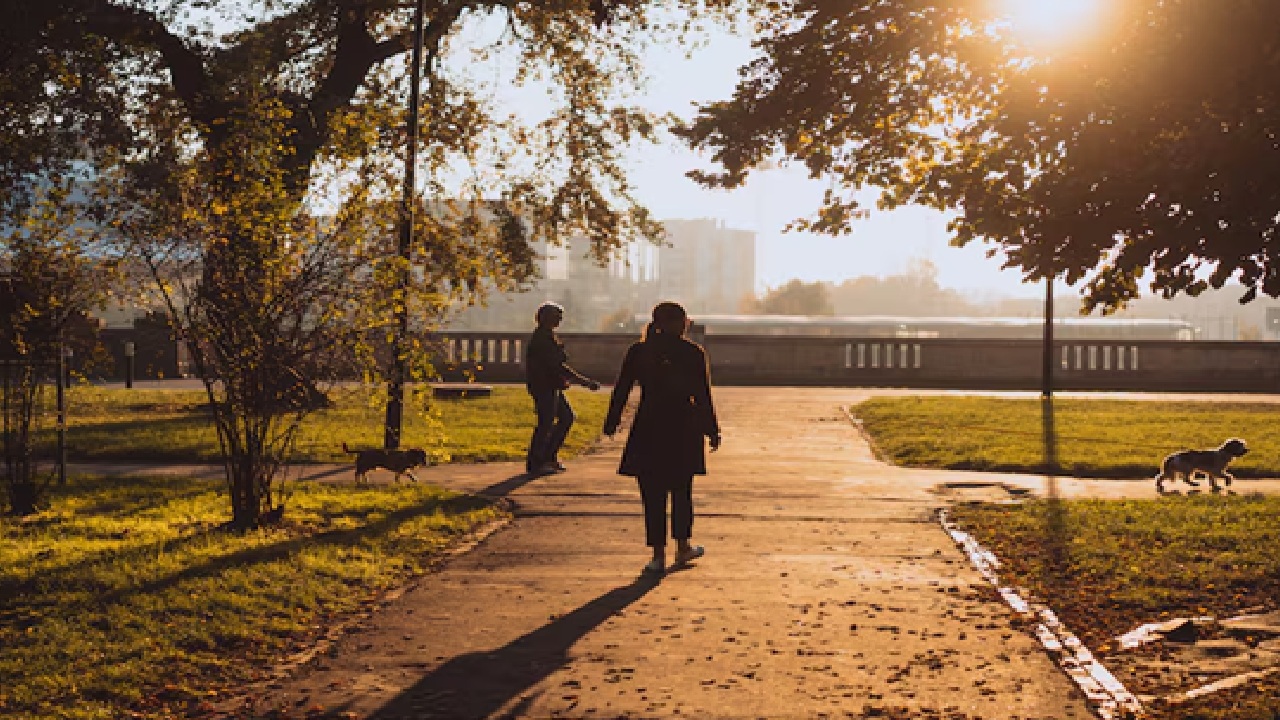 It can be beneficial if you sunbath early in the morning. Which can help to get the efficient vitamin D.