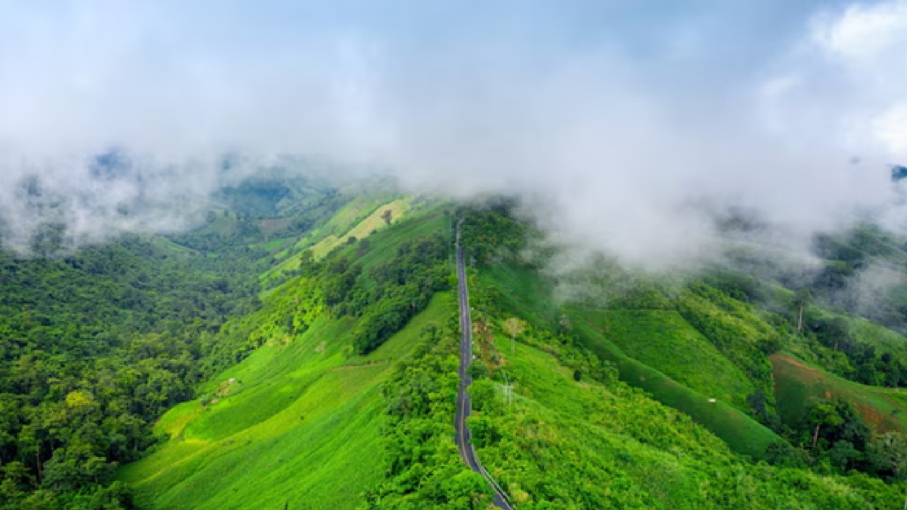 New year's eve events in Coorg range from big parties to smaller gatherings with events like fireworks, music and unique local experiences like visits to coffee farms. You can take advantage of the beautiful weather. It is the best place for outdoor activities.