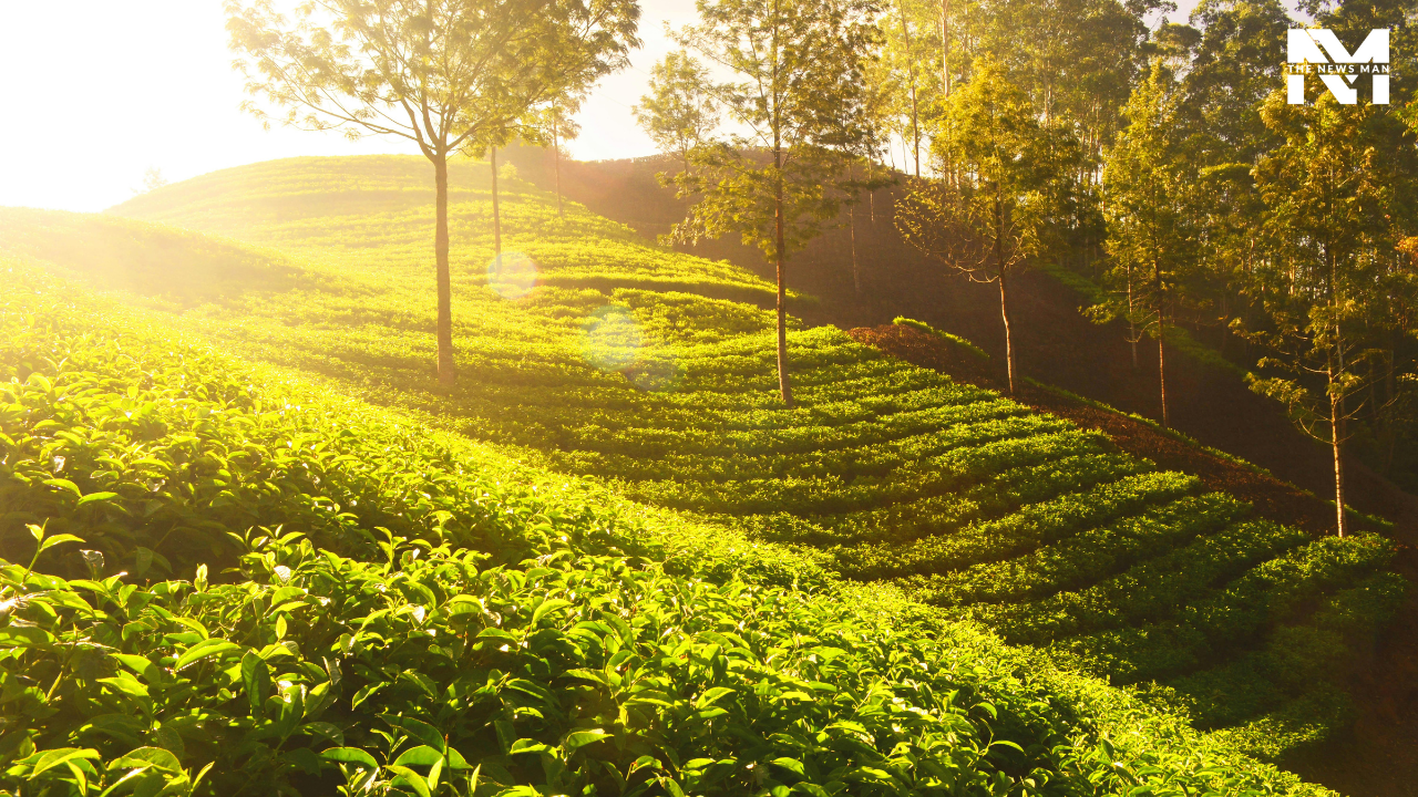 Renowned for its picturesque setting, Munnar’s dreamy weather and rolling hills make it the perfect April escape. From tea plantations and wildlife spotting to chasing waterfalls, there are variety of thrilling adventures to be had amid the lush greenery of Kerala’s Munnar.