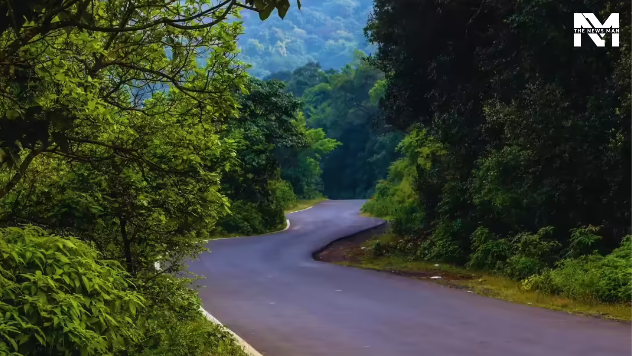 Long drives and rainy weather are a heart-warming combination. For the most scenic views, drive through Tamhini Ghat, connecting Kolad to Pune. Clouds descend through the mountain pass, while fog, lush greenery, and cascading waterfalls will offer you a wholesome experience.
