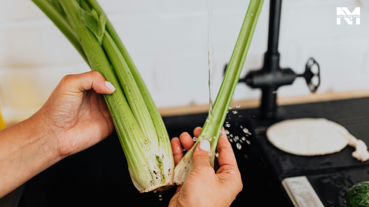 Celery aids in burning more calories than consuming it. This marshland plant targets saturated calories that lead to weight gain. It is a great source of antioxidants that you must consume daily.