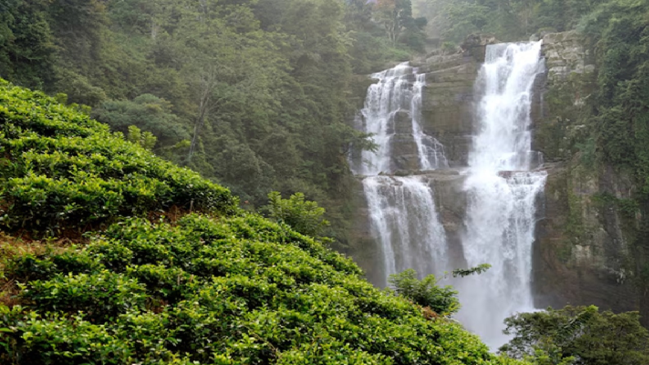 Top 5 Breathtaking Waterfall Destinations in India
