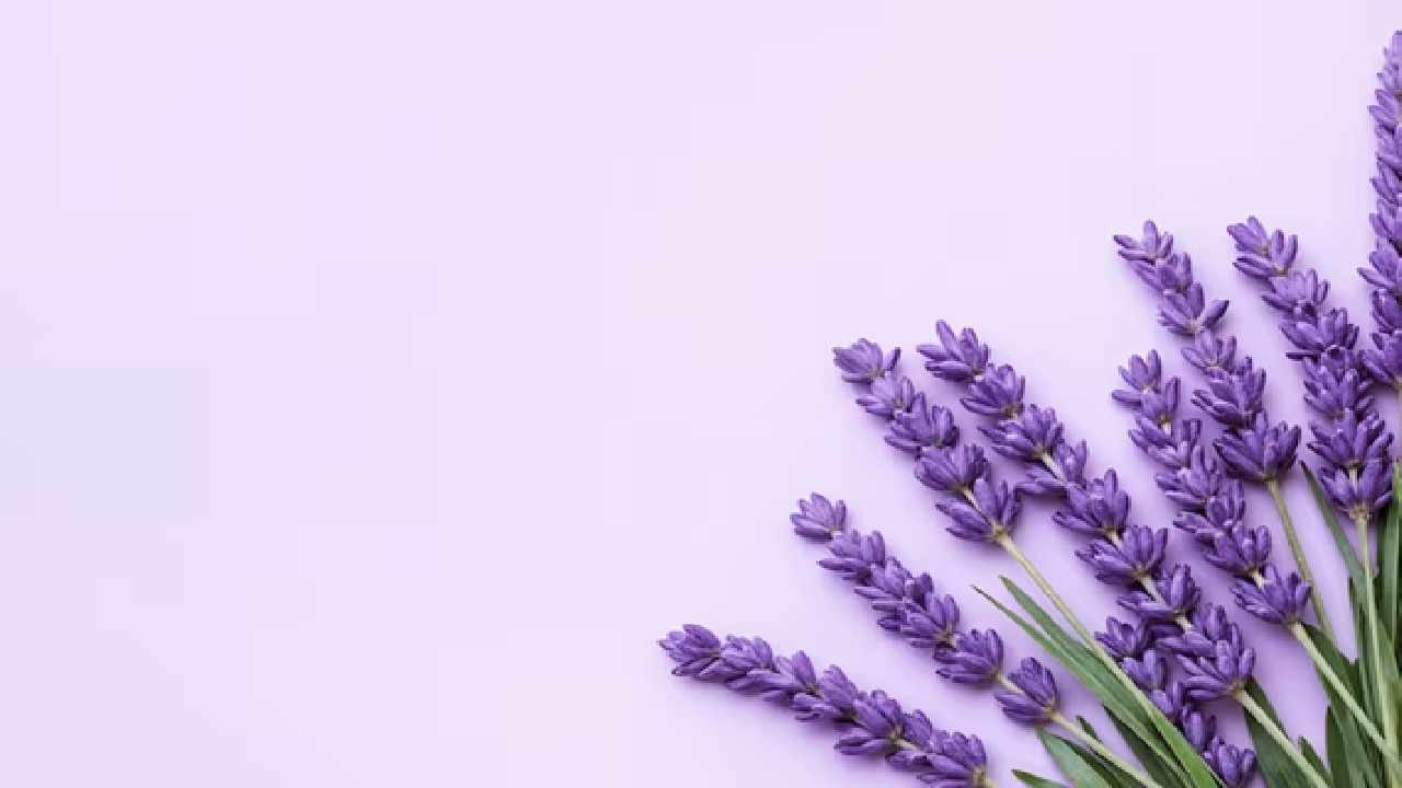 It possesses an analgesic that has pain-relieving effects that can help alleviate headaches, migraines and even arthritis pain.