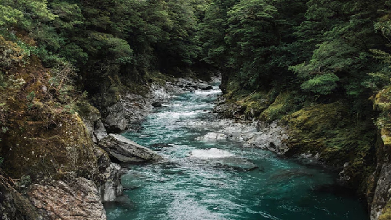 The Nile River in Africa is about 6,650 km long, it is the world's longest, flowing north through 11 countries, crucial for ancient civilizations and modern life in Egypt and Sudan. The Amazon River in South America, is the second longest at 6,400 km in size. It is the largest by water volume, supporting the world's largest rainforest and immense biodiversity.