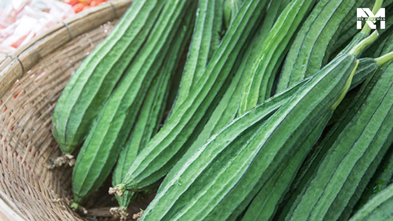 Delicious Ridge Gourd Recipes