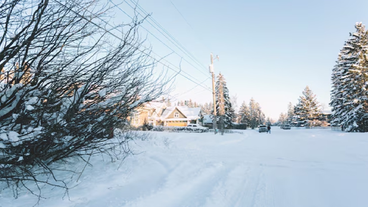 In India, there are several locations where the temperature falls below zero degrees Celsius. Let's discover these locations.