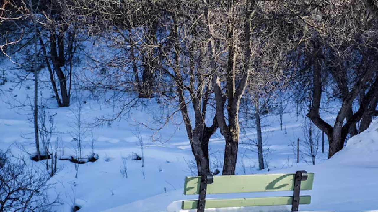 Spiti Valley in Himachal Pradesh is another winter wonderland that attracts travellers from across the globe. During peak winter, temperatures in Spiti can reach -20°C or lower.