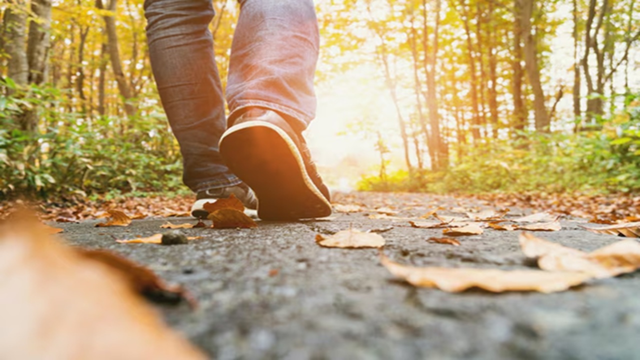 Weight loss can be maintained by walking. It helps to improve overall health in addition to burning fat.