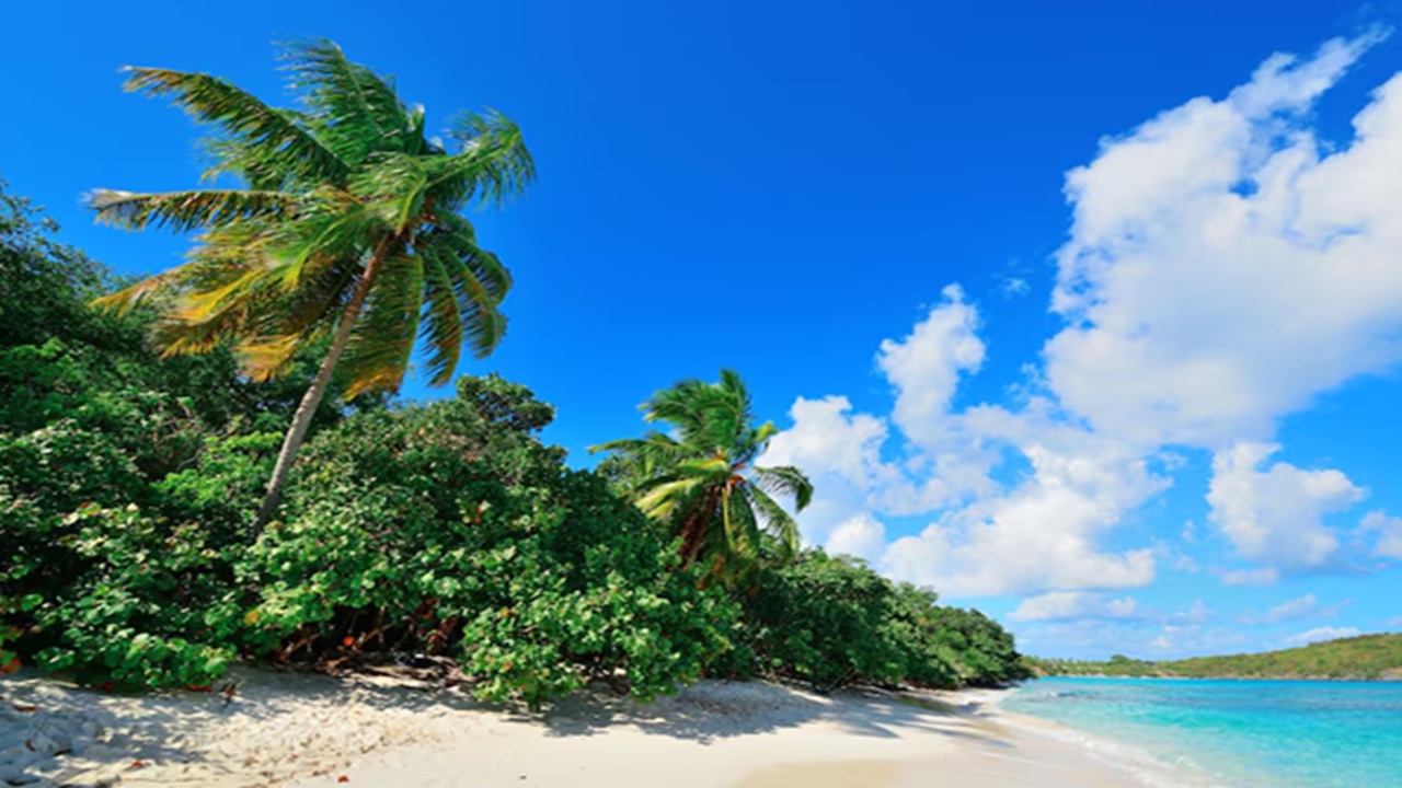 Travel Ideas: Top Tropical Destinations to Explore This Year