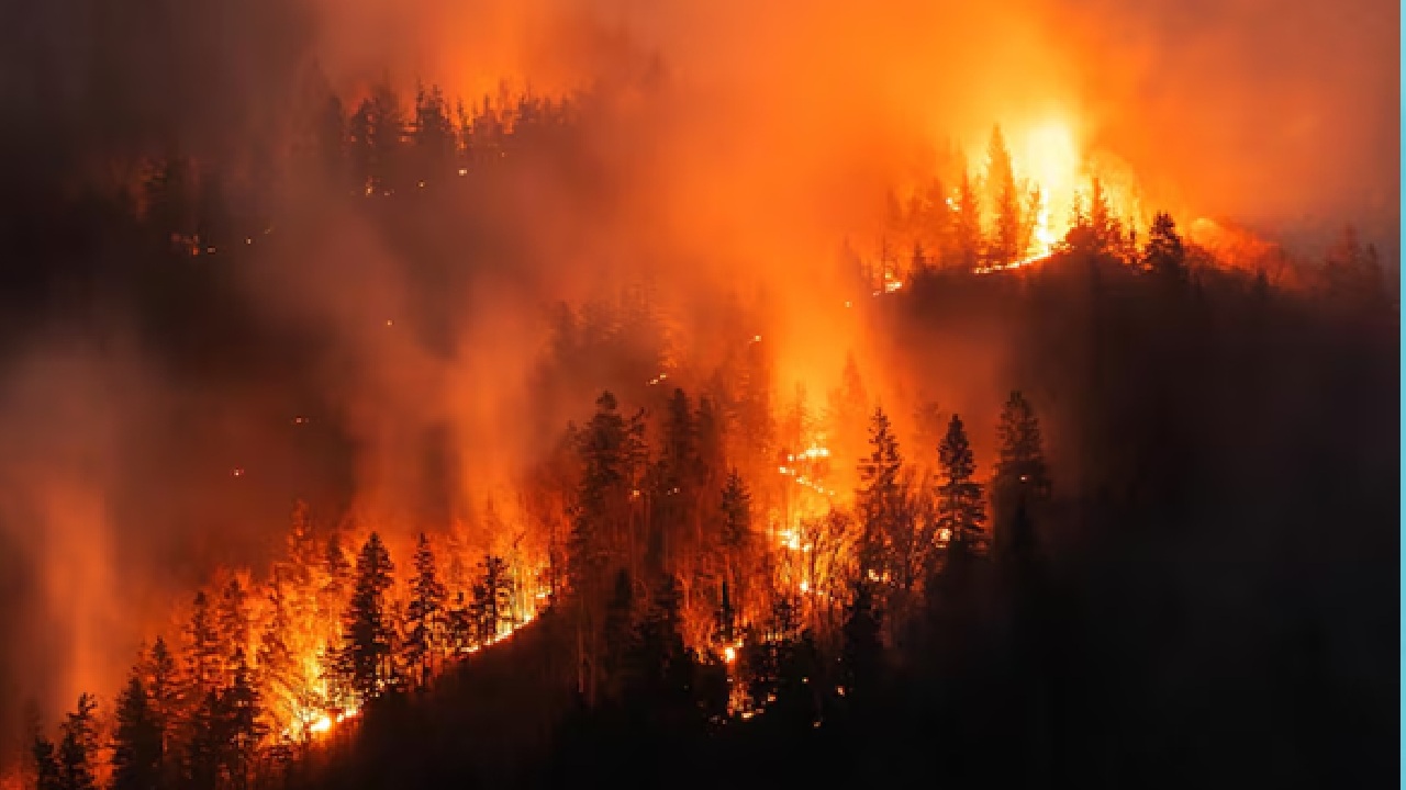 Chile Declared State of Emergency as Scorching Wildfire Kills 19, Forced Mass Evacuation