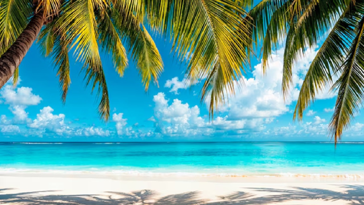 December through April is the perfect time to visit cultural places like Galle and beaches like Mirissa for surfing in Sri Lanka. (Disclaimer: Given the input is on an information basis, please seek professional advice.)