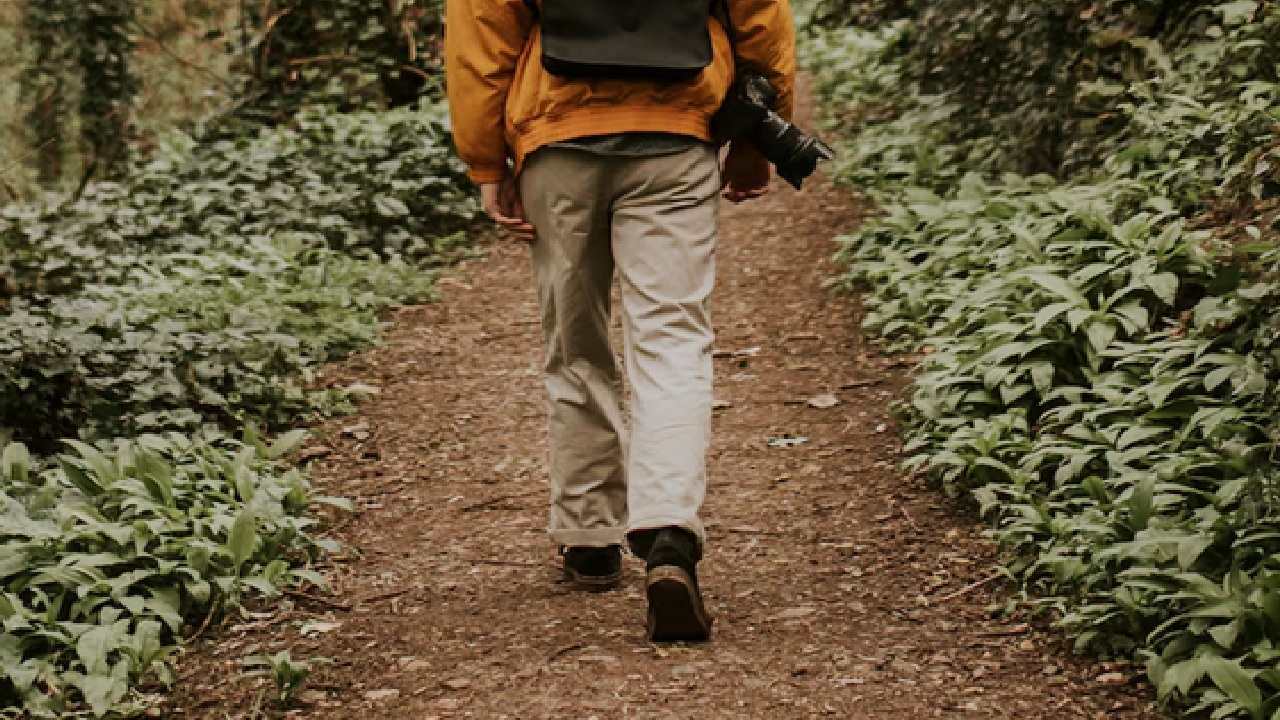 Walking for five minutes every thirty minutes can help prevent and manage diabetes by lowering post meal blood sugar increases by about 60%, according to some reports.