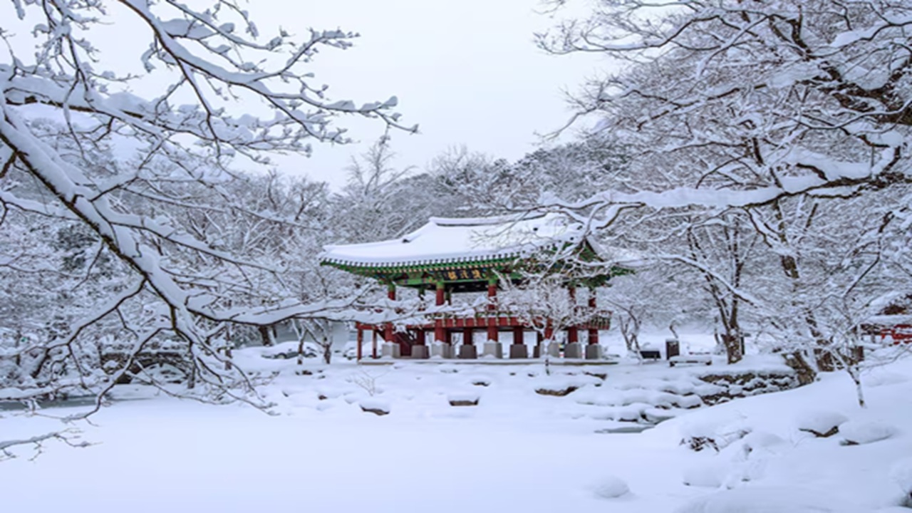 Japan Hit by Record Breaking Snowfall, Over 30 Killed and Hundreds Injured