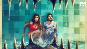 Tu Yaa Main Box Office Collection