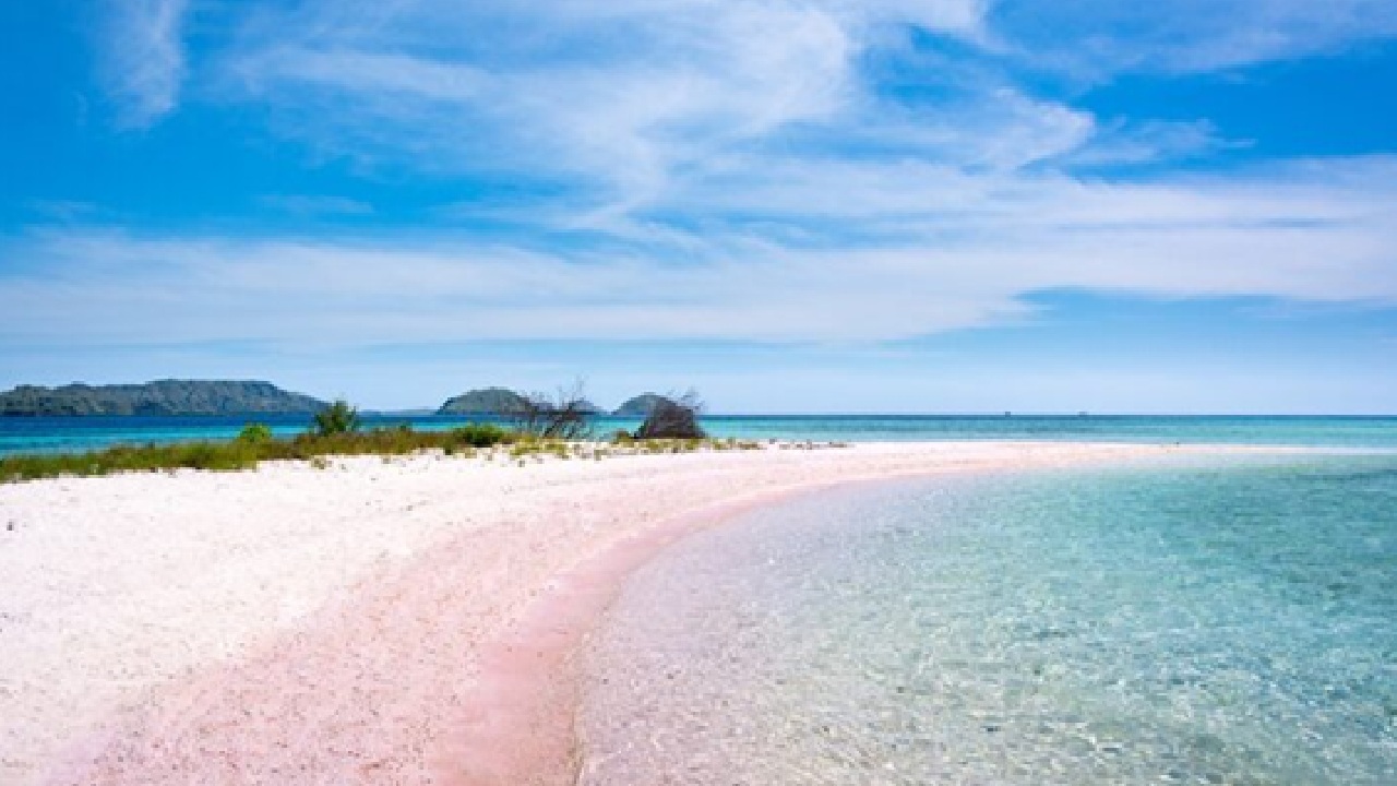 The Most Beautiful White Sand Beaches in India You Must Visit