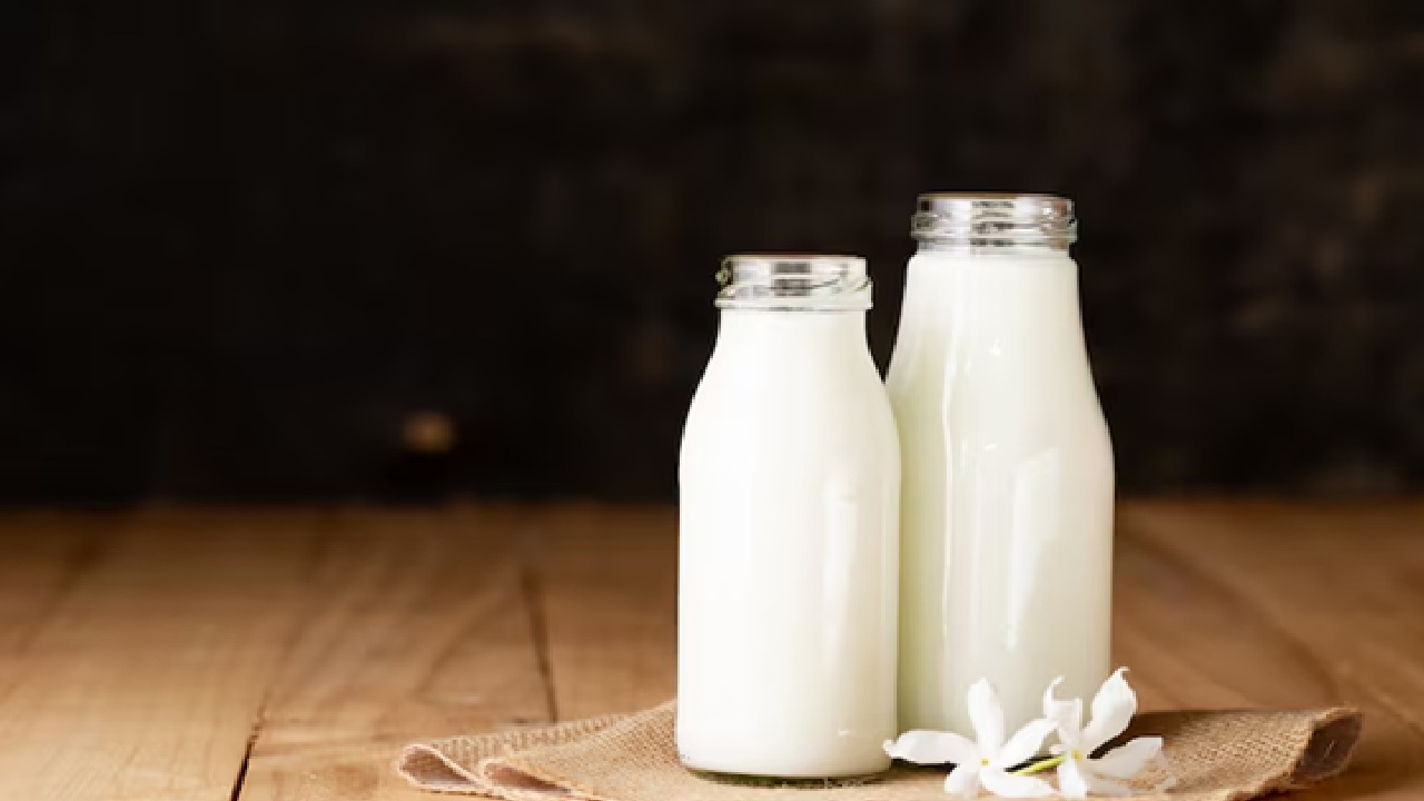 Soy Milk: The greatest plant based substitute for cow's milk since it has a similar protein level and is rich in calcium, particularly when fortified. It contains all the necessary amino acids, promotes heart health and is beneficial for maintaining muscle mass.