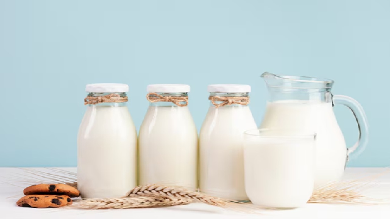 Coconut Milk: This dairy-free and lactose free option is rich in vital elements like iron, copper and manganese, which help maintain healthy digestion and skin hydration. (Disclaimer: Given the input is on an information basis, please seek professional advice.)