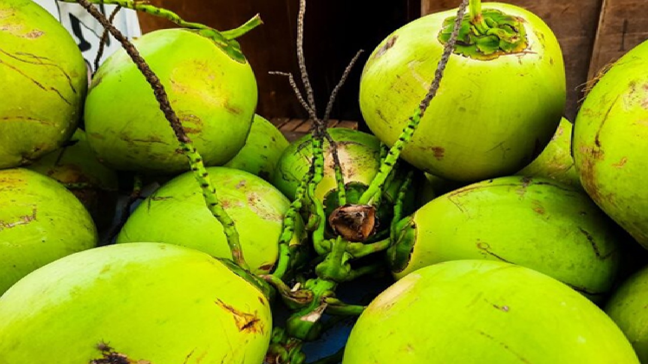 According to studies, coconut may help lower LDL (bad) cholesterol and boost HDL (good) cholesterol.