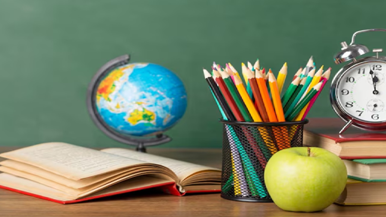 You can work in an NGO. It is perfect for honing interpersonal skills such as empathy, teamwork and community involvement.