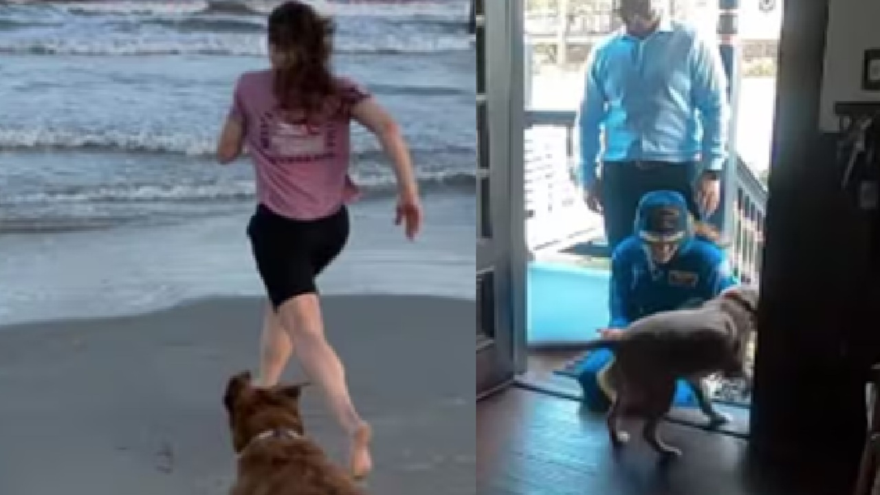 Watch: Artemis II Astronaut's Touching Reunion with Dog Melts Hearts Online