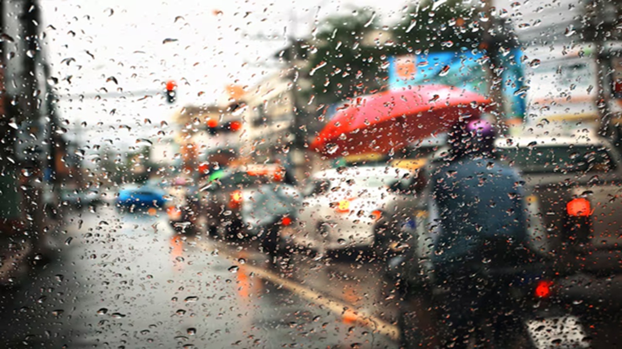 Weather News