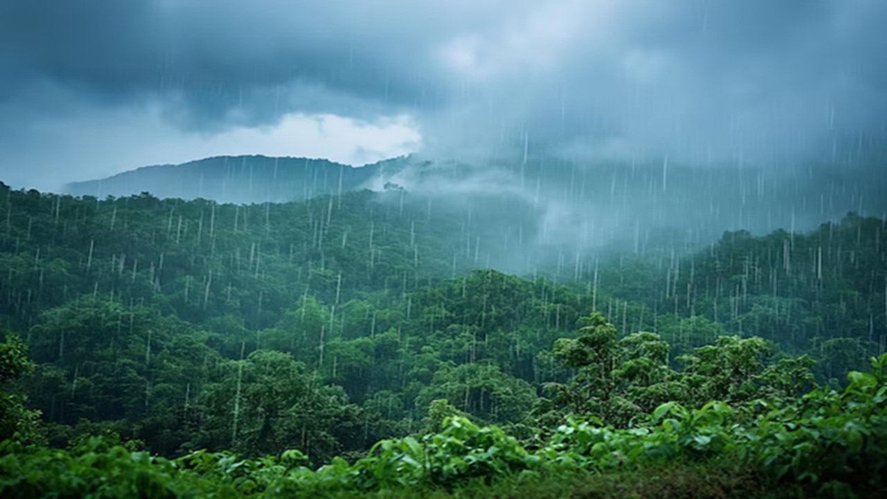 Lonavala's most well known location. Water overflows the dam's steps during torrential rains, producing a huge, cascading waterfall. You can sit, soak and savor a cup of hot tea here. (Disclaimer: Given the input is on an information basis, please seek professional advice.)