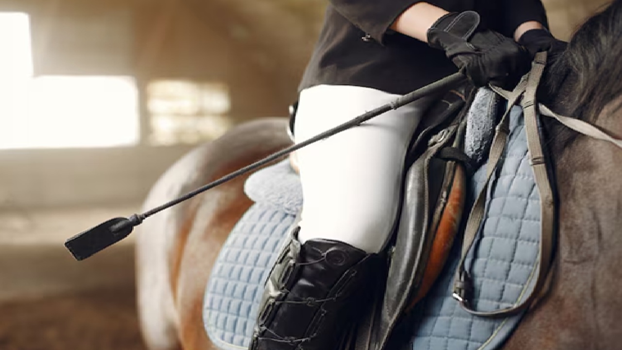 Asian Games: Indian Squads for Three Equestrian Disciplines Announced by Ad-hot Committee, Check List